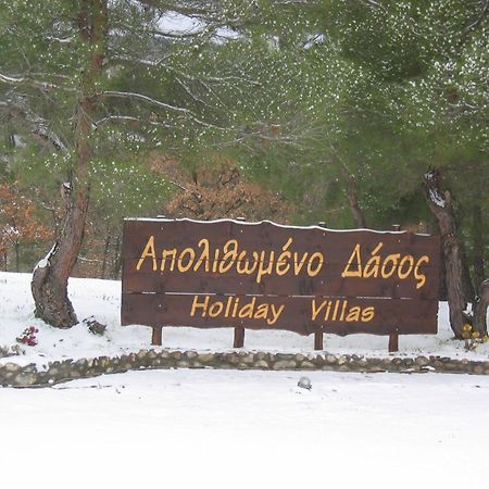 Apolithomeno Dasos Holiday Villas Lefkimmi  Exterior foto