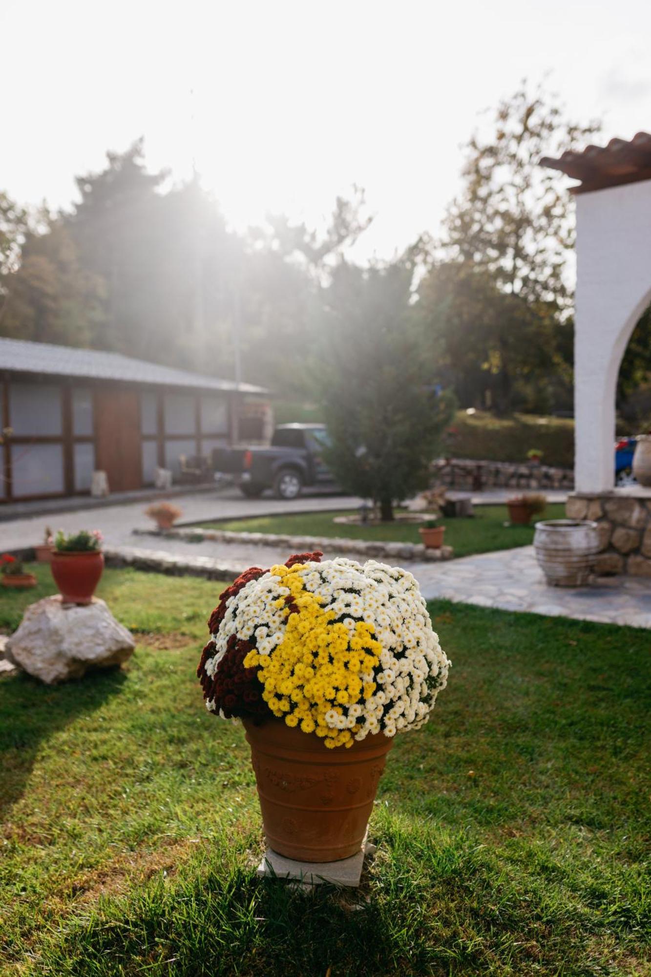 Apolithomeno Dasos Holiday Villas Lefkimmi  Exterior foto